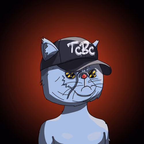 Top Cat #529