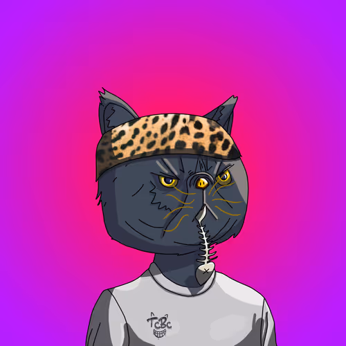 Topcatbeachclub