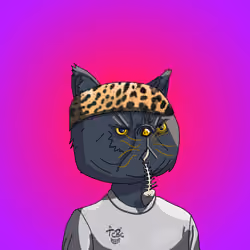 Top Cat #7039
