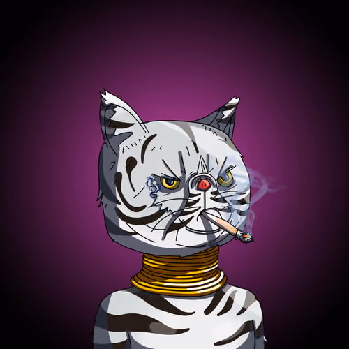 Top Cat #5700