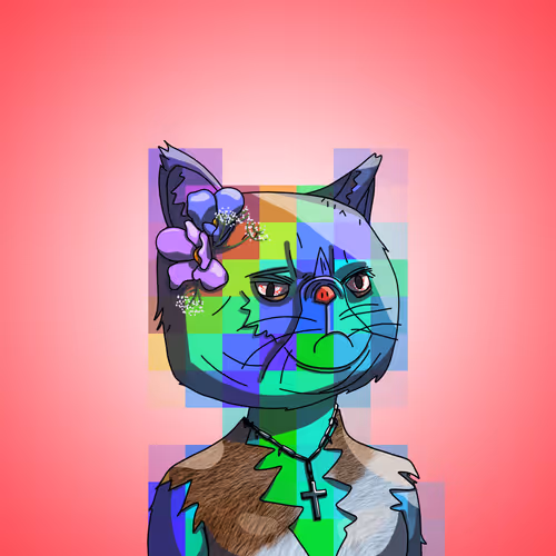 Topcatbeachclub