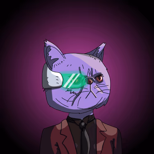 Topcatbeachclub