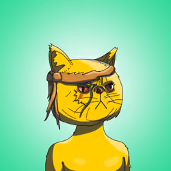 Top Cat #2584