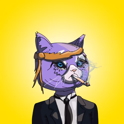 Topcatbeachclub