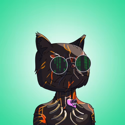Topcatbeachclub