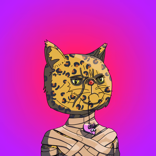 Topcatbeachclub