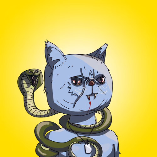 Topcatbeachclub
