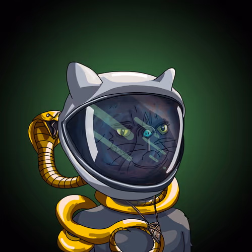 Topcatbeachclub