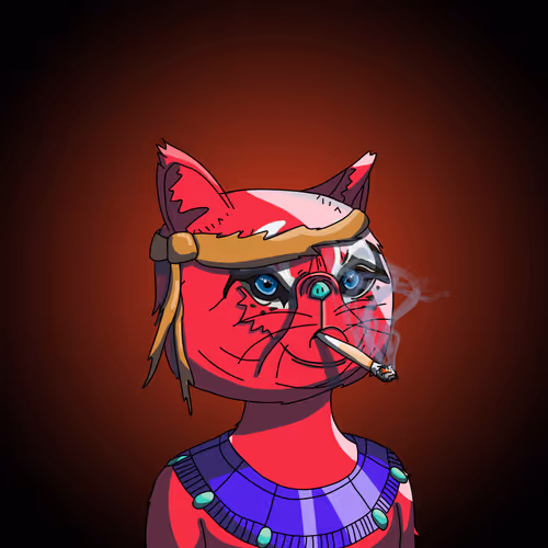 Topcatbeachclub