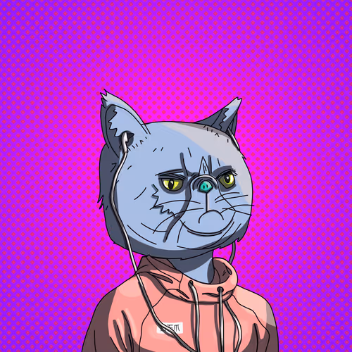Topcatbeachclub
