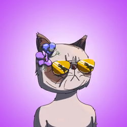 Top Cat #7277