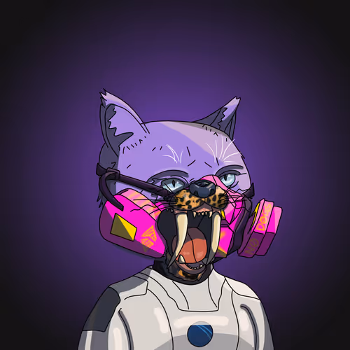 Topcatbeachclub