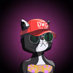 Top Cat #6404