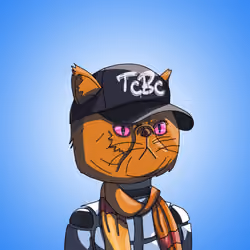 Top Cat #5823