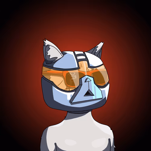 Topcatbeachclub