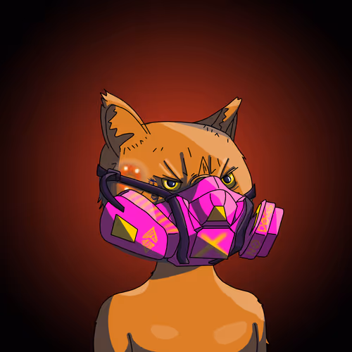 Topcatbeachclub