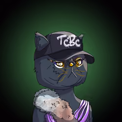 Top Cat #6584