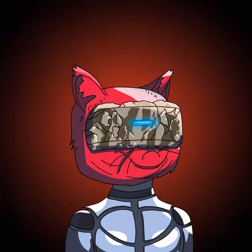 Topcatbeachclub
