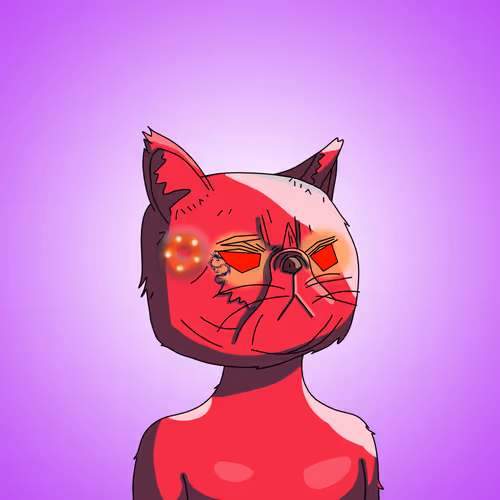 Topcatbeachclub