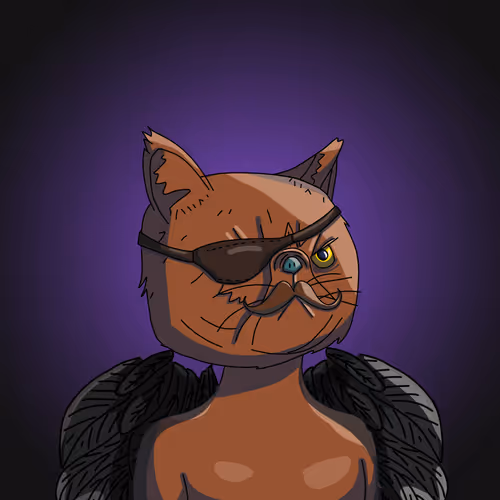Topcatbeachclub