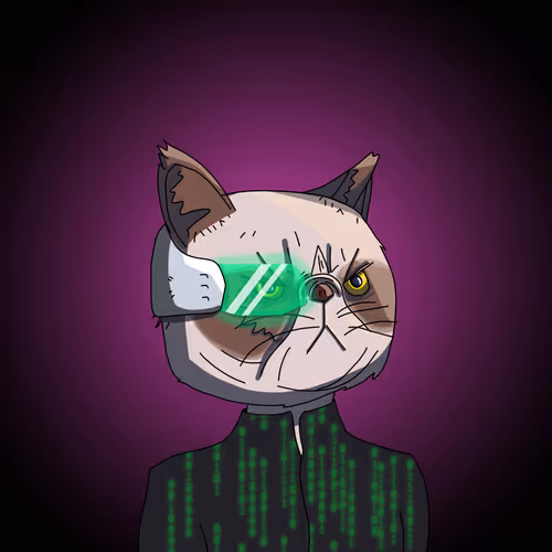 Topcatbeachclub