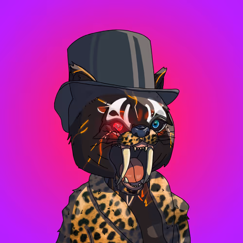 Topcatbeachclub