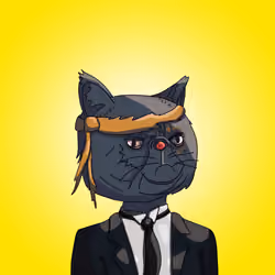 Top Cat #888