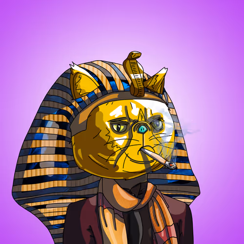 Topcatbeachclub