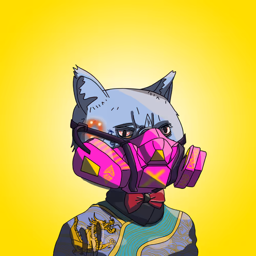 Topcatbeachclub