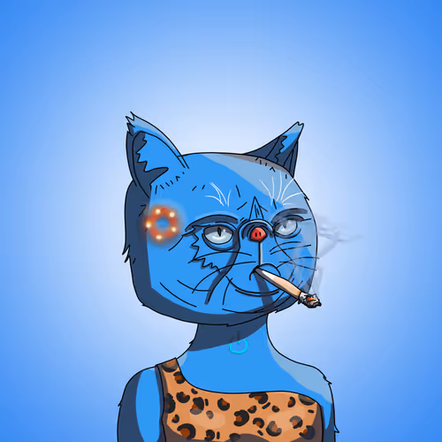 Topcatbeachclub