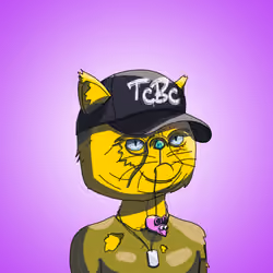 Top Cat #4660
