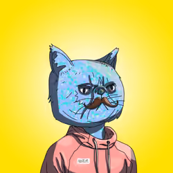 Top Cat #5067