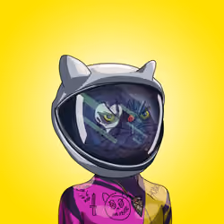 Top Cat #7955