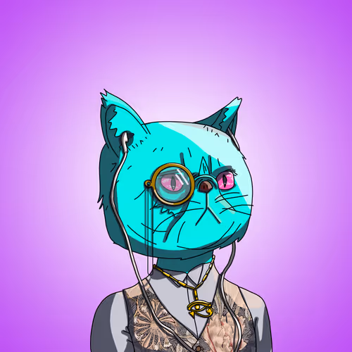 Topcatbeachclub