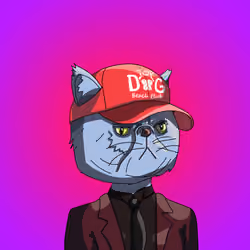 Top Cat #4972