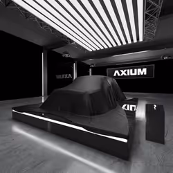 Mystery Car (Black) #4383