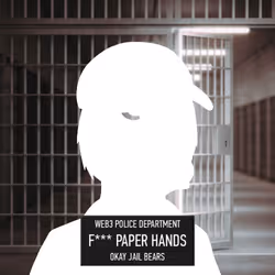 Okay Jail Bear #2269