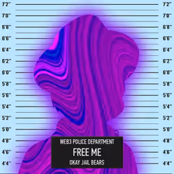 Okay Jail Bear #3241