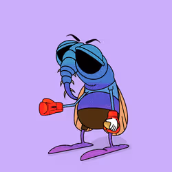 703