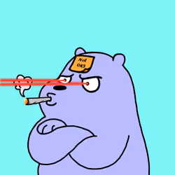 Loux Bears #2677