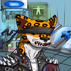 61