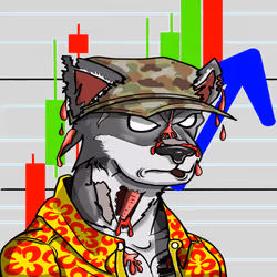 41