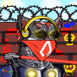 6