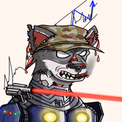 31