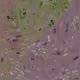 70