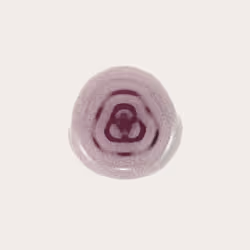 256