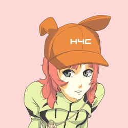 H4C #1601
