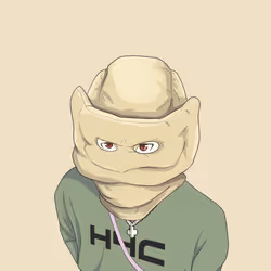H4C #2828