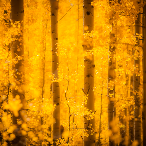 tmophoto editions V2