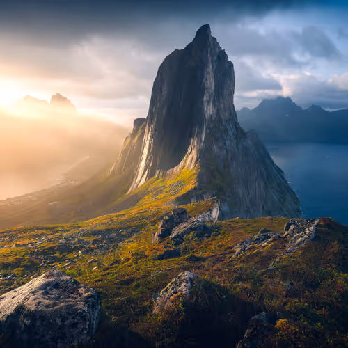 Wilderness To Blockchain Editions